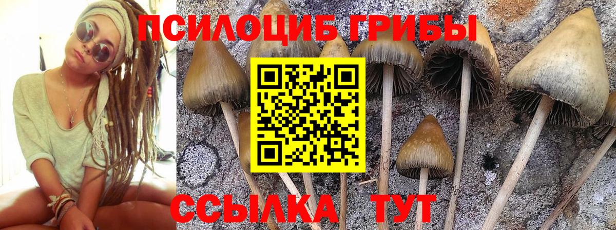Псилоцибиновые грибы мухоморы  Галлюциногенные грибы Psilocybine cubensis  Вход с VPN  Шарыпово 